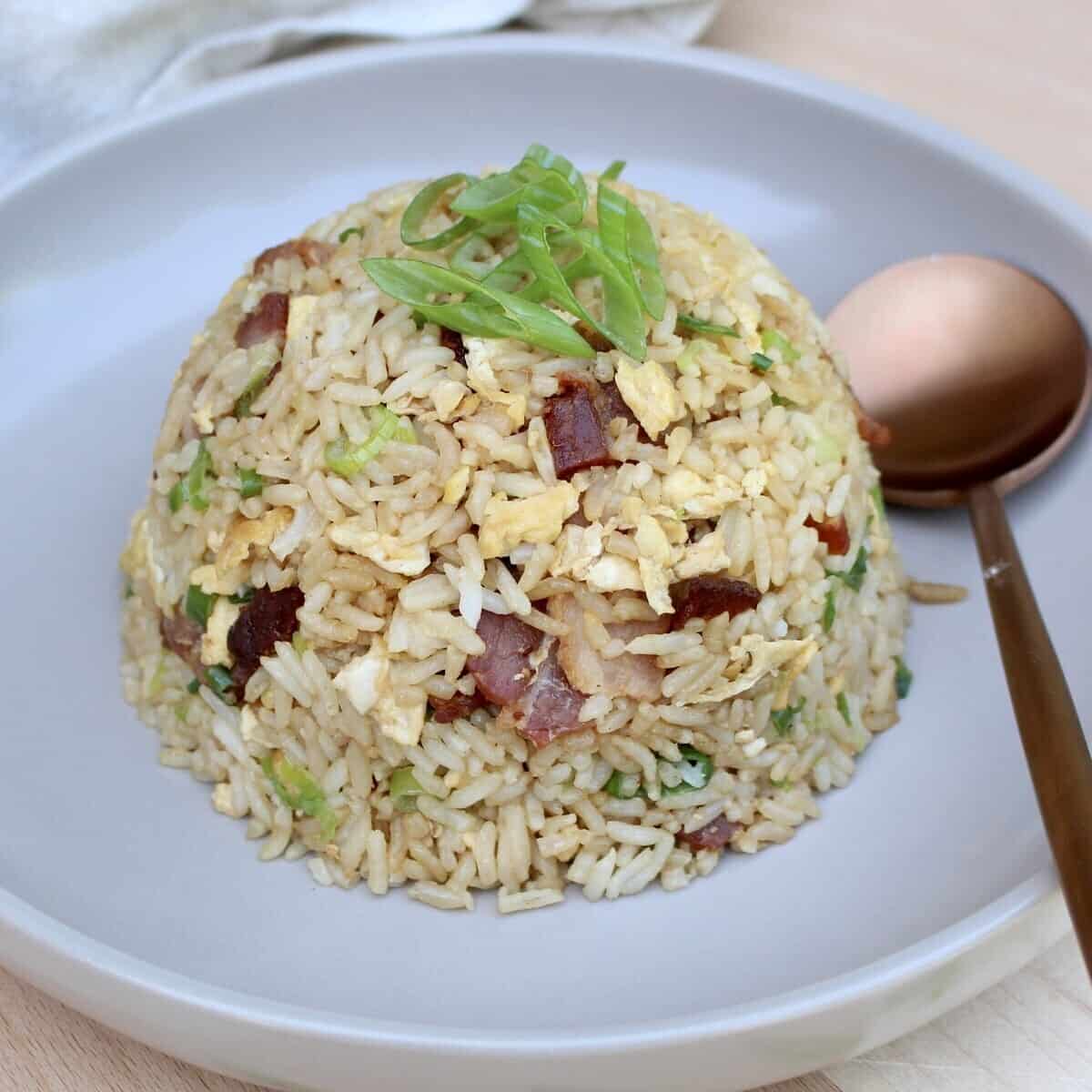 A dome shaped ball of fried rice on a plate with a spoon and garnished with green onions.