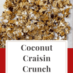 Pinterest coverpage for coconut craisin crunch.