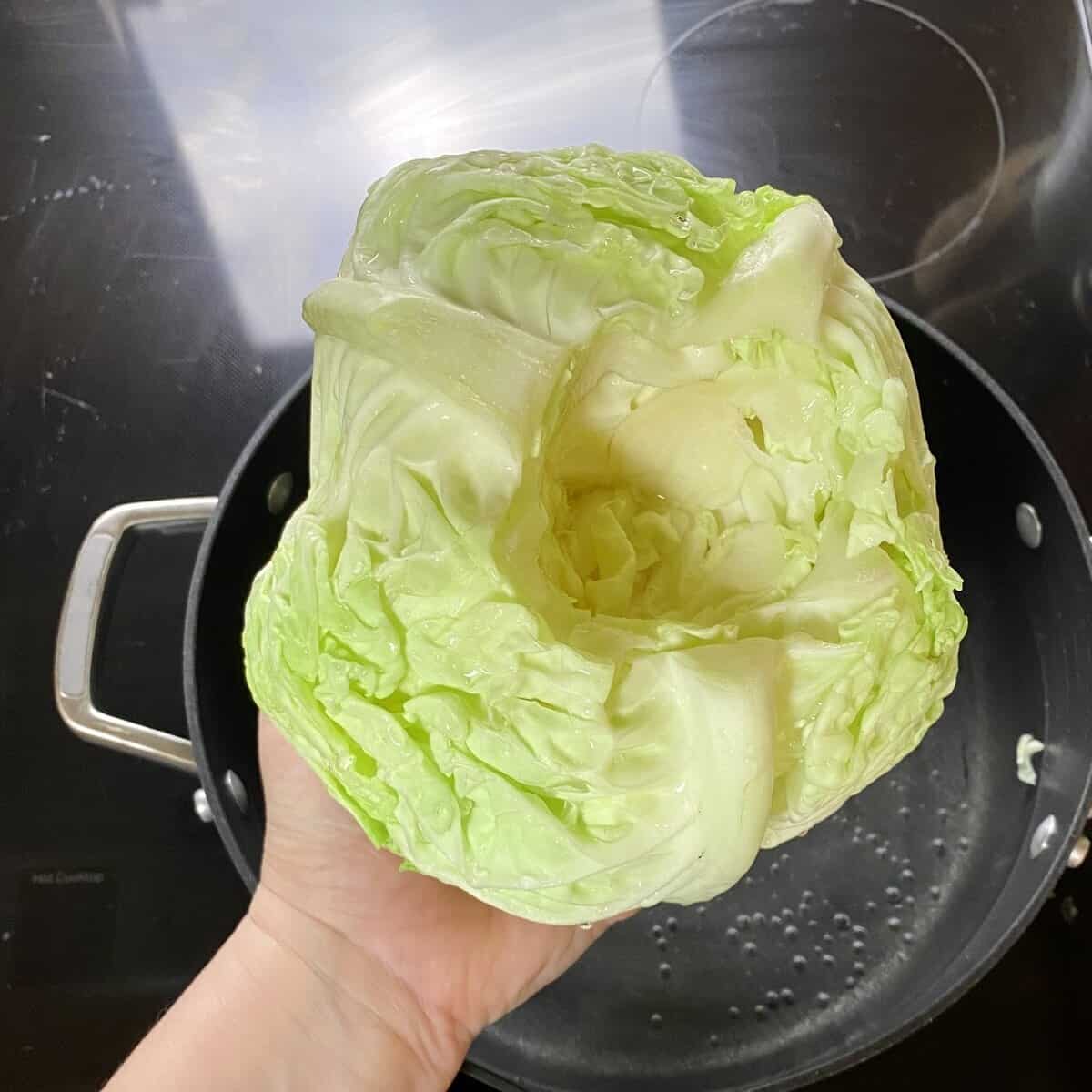 A hand holding a whole green cabbage showing the core removed above a pot of water.