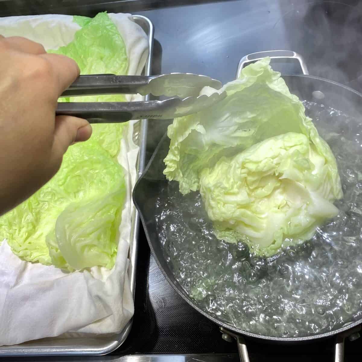 A head of cabbage in a pot of boiling water with tongs removing a leaf and a tray of leaves cooling alongside the pot.