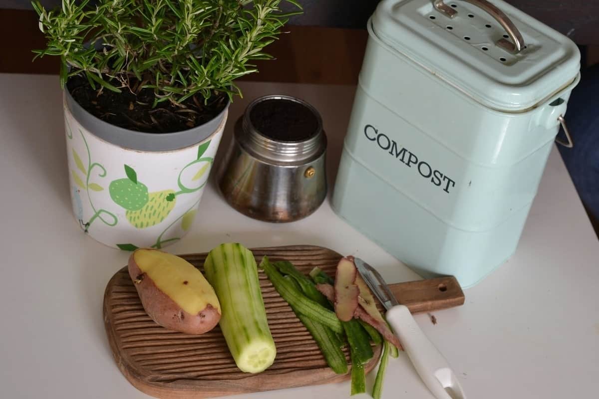 Vegetables peeled on a countertop with a compost bin nearby.