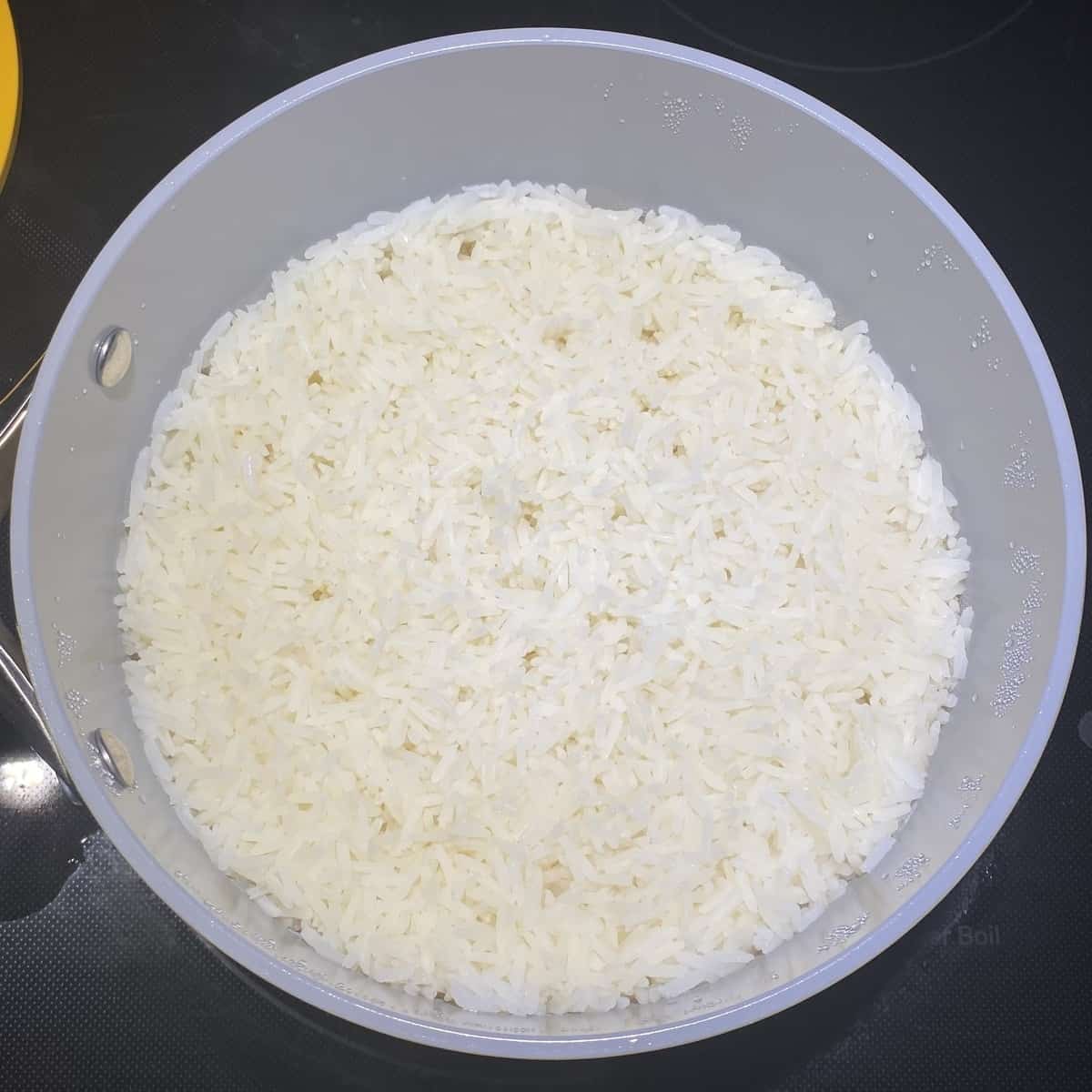 A pot holding cooked white rice.