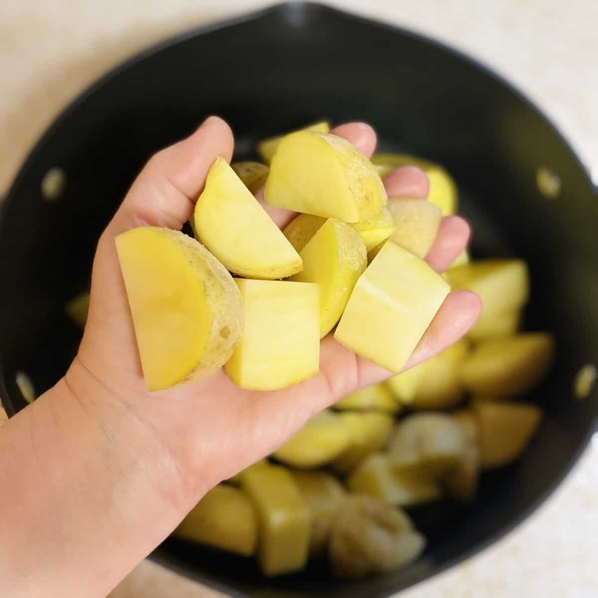 A hand showing the size of large diced yukon potatoes.