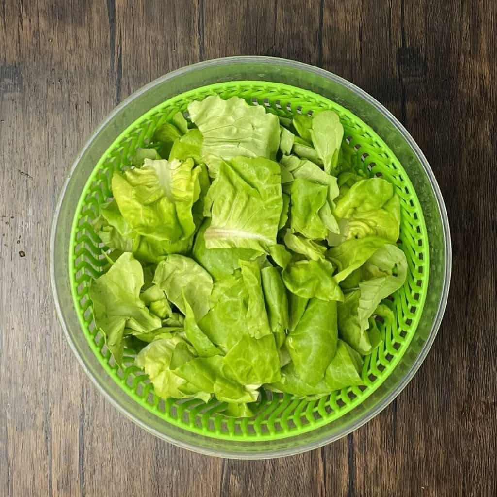 Clean butter lettuce sitting in a salad spinner.