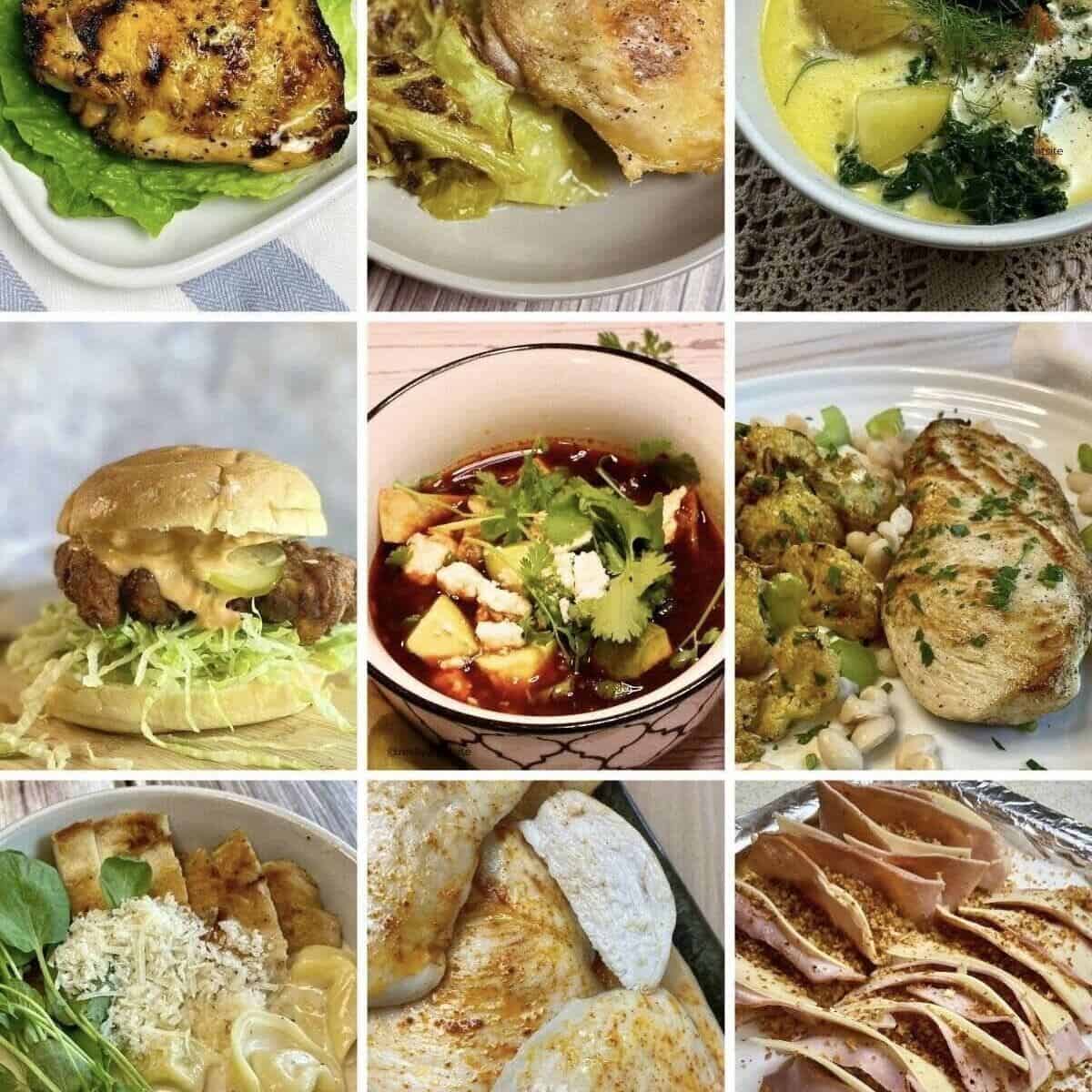 9 Awesome Chicken Recipes - The Measured Scoop
