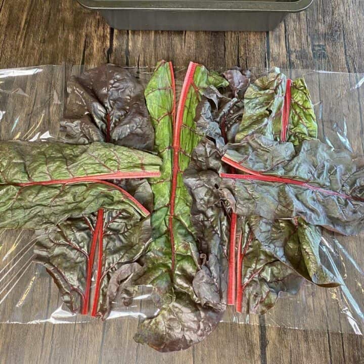 Swiss chard leaves laid on plastic wrap.